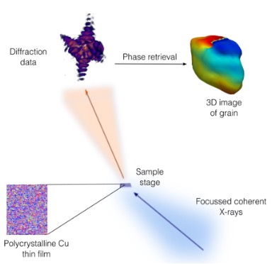 Imaging-strain-dinamics